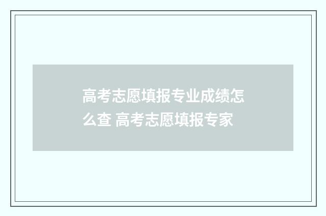 高考志愿填报专业成绩怎么查 高考志愿填报专家