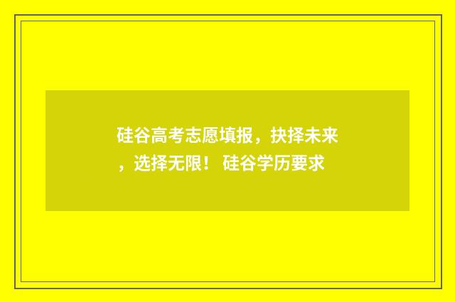 硅谷高考志愿填报，抉择未来，选择无限！ 硅谷学历要求