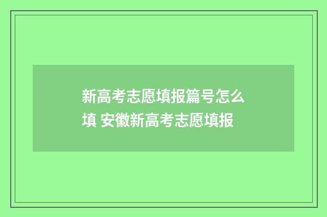 新高考志愿填报篇号怎么填 安徽新高考志愿填报