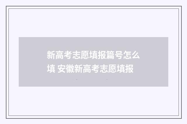 新高考志愿填报篇号怎么填 安徽新高考志愿填报