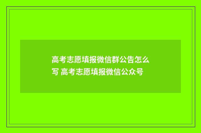 高考志愿填报微信群公告怎么写 高考志愿填报微信公众号