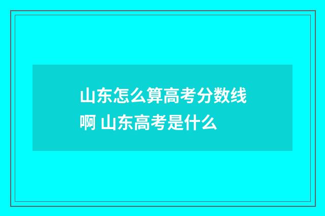 山东怎么算高考分数线啊 山东高考是什么