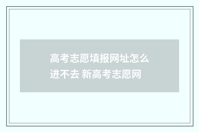 高考志愿填报网址怎么进不去 新高考志愿网