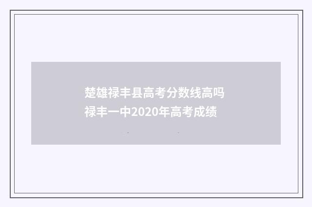楚雄禄丰县高考分数线高吗 禄丰一中2020年高考成绩