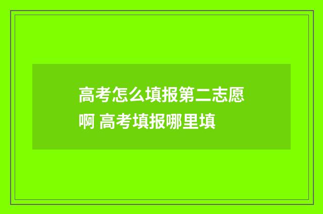 高考怎么填报第二志愿啊 高考填报哪里填