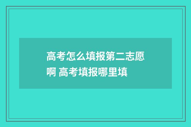 高考怎么填报第二志愿啊 高考填报哪里填