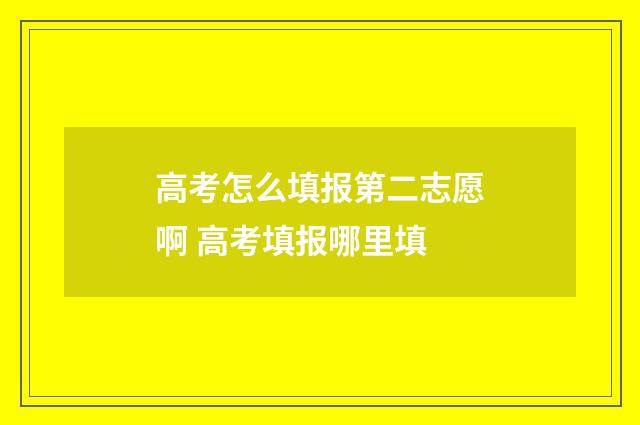 高考怎么填报第二志愿啊 高考填报哪里填
