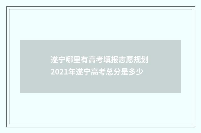 遂宁哪里有高考填报志愿规划 2021年遂宁高考总分是多少