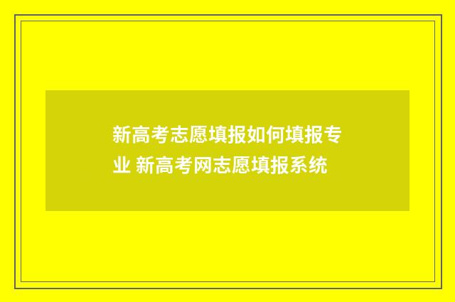 新高考志愿填报如何填报专业 新高考网志愿填报系统
