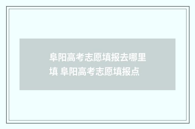 阜阳高考志愿填报去哪里填 阜阳高考志愿填报点