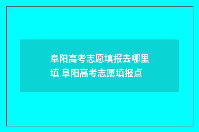 阜阳高考志愿填报去哪里填 阜阳高考志愿填报点