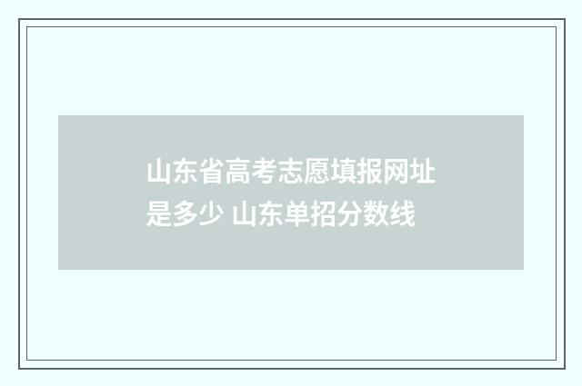 山东省高考志愿填报网址是多少 山东单招分数线