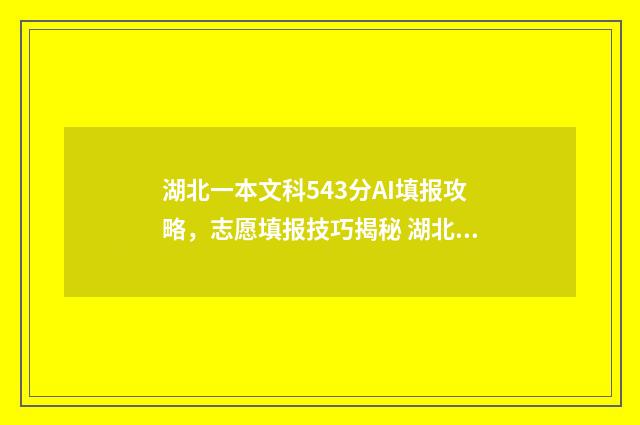 湖北一本文科543分AI填报攻略，志愿填报技巧揭秘 湖北一本文科大学