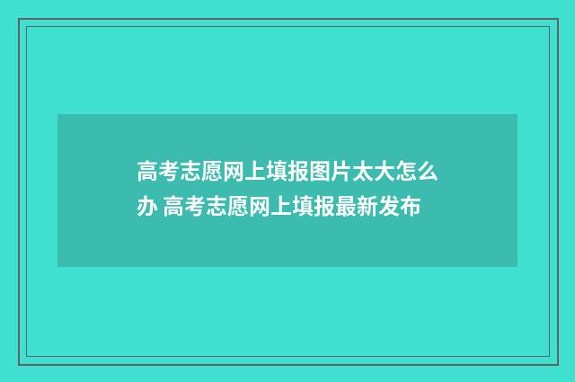 高考志愿网上填报图片太大怎么办 高考志愿网上填报最新发布