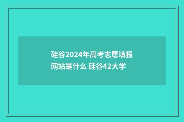 硅谷2024年高考志愿填报网站是什么 硅谷42大学