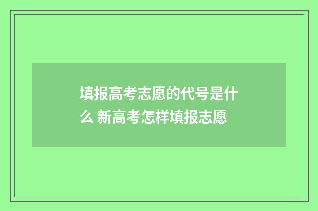 填报高考志愿的代号是什么 新高考怎样填报志愿