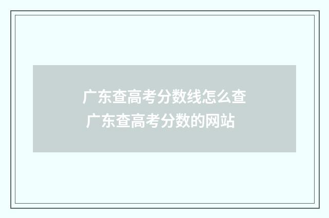 广东查高考分数线怎么查 广东查高考分数的网站