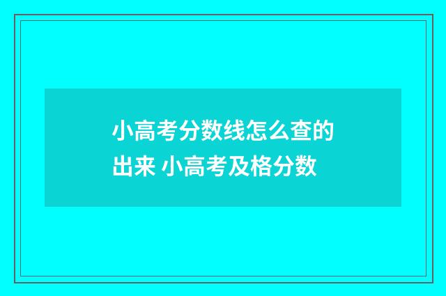 小高考分数线怎么查的出来 小高考及格分数