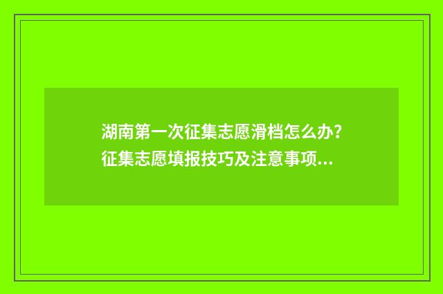 湖南第一次征集志愿滑档怎么办？征集志愿填报技巧及注意事项解析 湖南第一次征集志愿录取结果