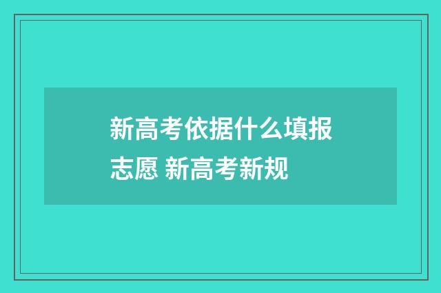 新高考依据什么填报志愿 新高考新规