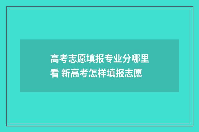 高考志愿填报专业分哪里看 新高考怎样填报志愿