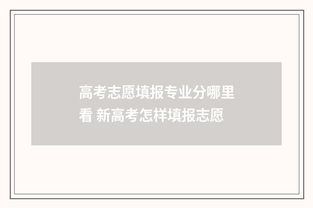 高考志愿填报专业分哪里看 新高考怎样填报志愿