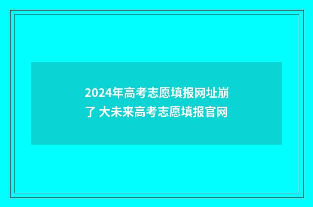 2024年高考志愿填报网址崩了 大未来高考志愿填报官网