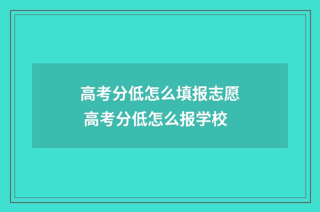高考分低怎么填报志愿 高考分低怎么报学校
