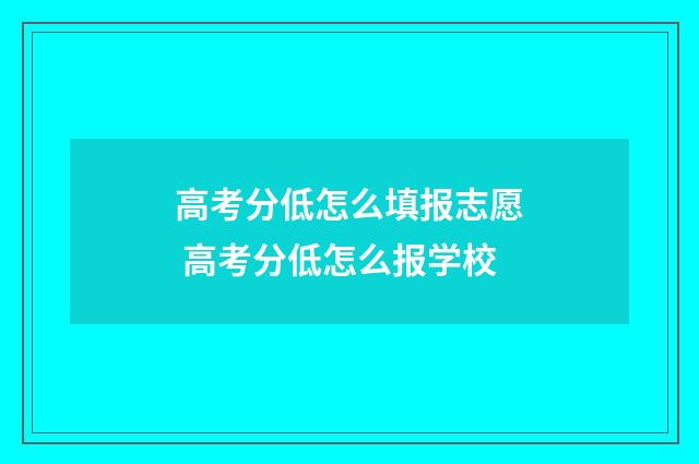 高考分低怎么填报志愿 高考分低怎么报学校