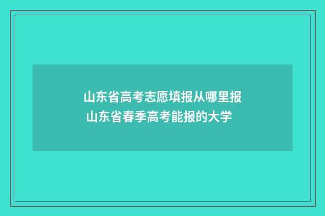 山东省高考志愿填报从哪里报 山东省春季高考能报的大学