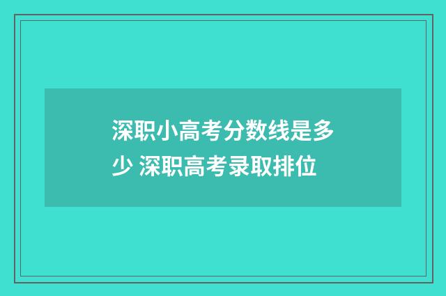 深职小高考分数线是多少 深职高考录取排位