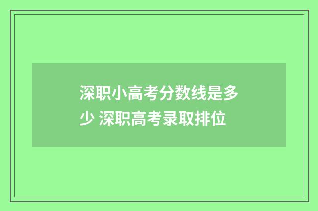 深职小高考分数线是多少 深职高考录取排位