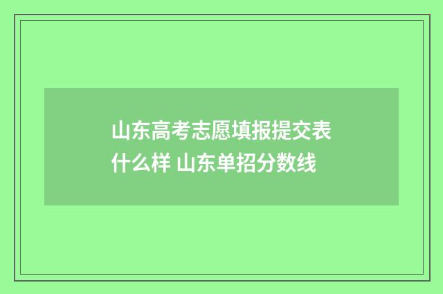 山东高考志愿填报提交表什么样 山东单招分数线