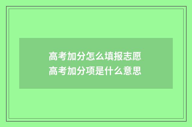 高考加分怎么填报志愿 高考加分项是什么意思