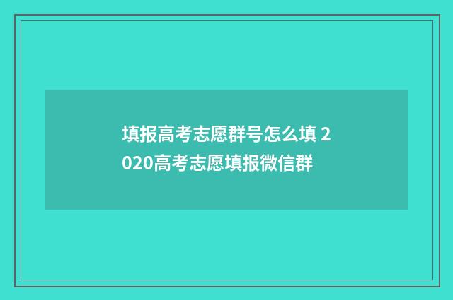 填报高考志愿群号怎么填 2020高考志愿填报微信群