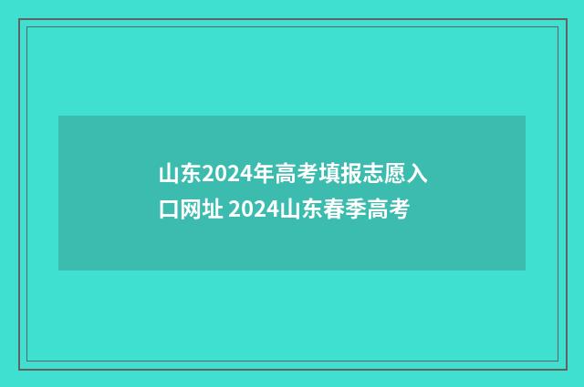山东2024年高考填报志愿入口网址 2024山东春季高考