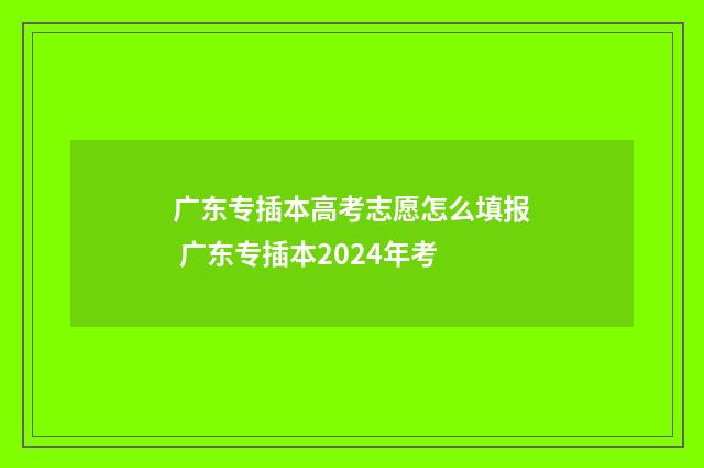 广东专插本高考志愿怎么填报 广东专插本2024年考