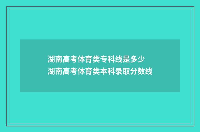 湖南高考体育类专科线是多少 湖南高考体育类本科录取分数线