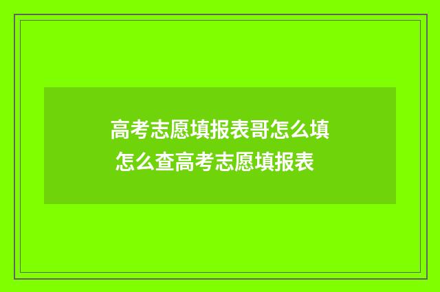 高考志愿填报表哥怎么填 怎么查高考志愿填报表