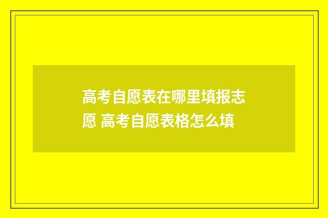 高考自愿表在哪里填报志愿 高考自愿表格怎么填