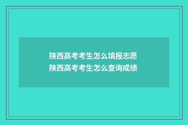 陕西高考考生怎么填报志愿 陕西高考考生怎么查询成绩