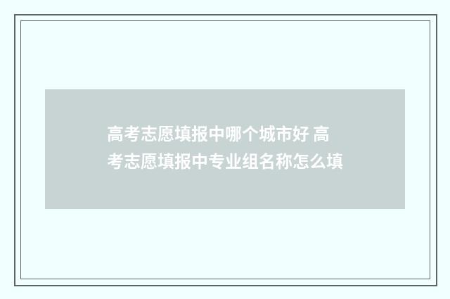 高考志愿填报中哪个城市好 高考志愿填报中专业组名称怎么填