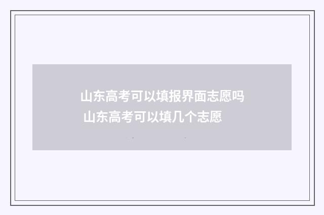 山东高考可以填报界面志愿吗 山东高考可以填几个志愿