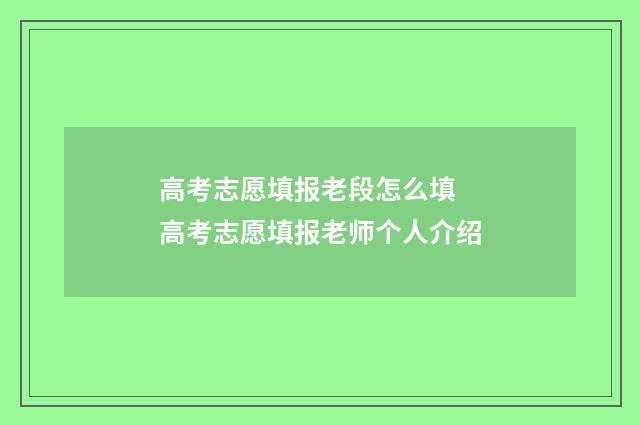 高考志愿填报老段怎么填 高考志愿填报老师个人介绍