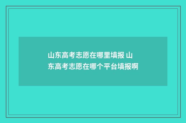 山东高考志愿在哪里填报 山东高考志愿在哪个平台填报啊