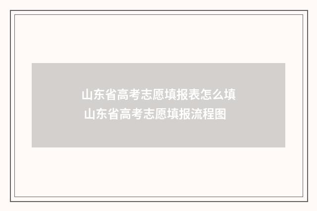 山东省高考志愿填报表怎么填 山东省高考志愿填报流程图