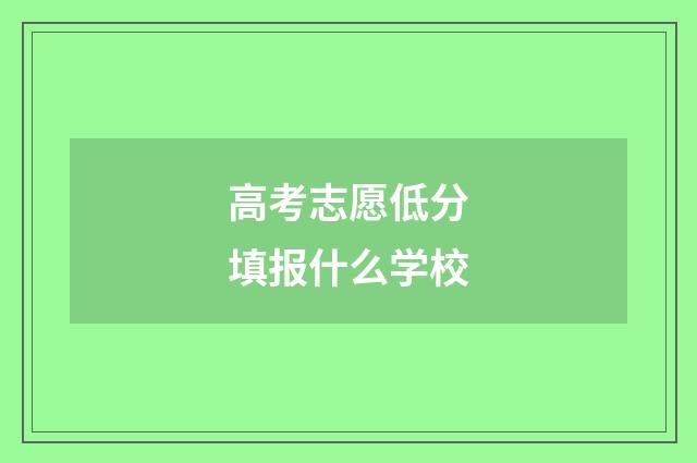 高考志愿低分填报什么学校