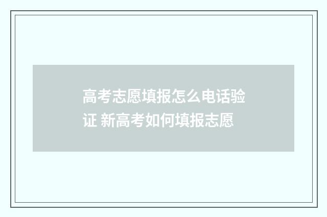 高考志愿填报怎么电话验证 新高考如何填报志愿