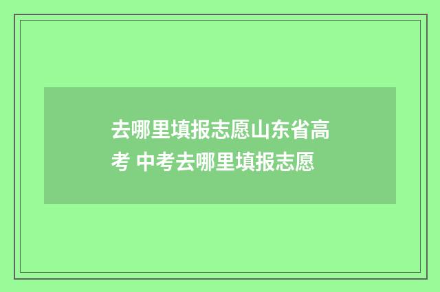 去哪里填报志愿山东省高考 中考去哪里填报志愿