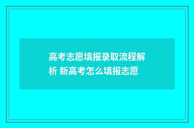 高考志愿填报录取流程解析 新高考怎么填报志愿